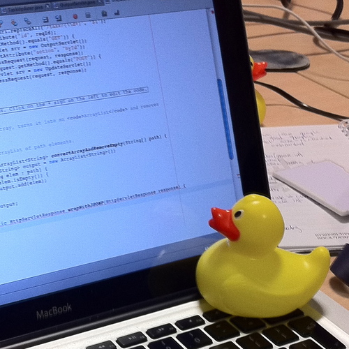 Duck debugging setup