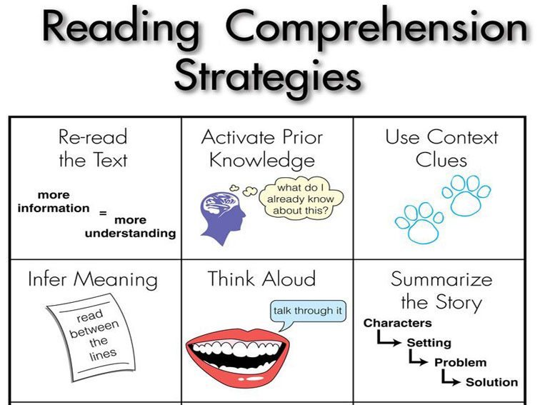Reading strategy guide